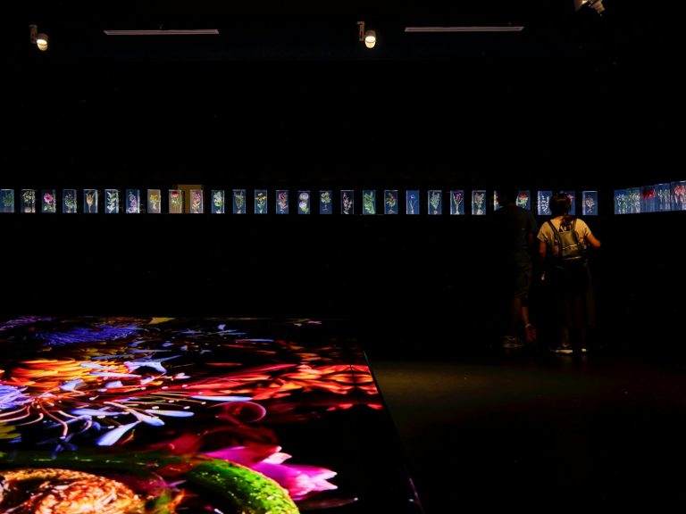 A man standing in front of a large display of food